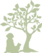 くすの木動物病院