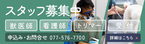 スタッフ募集中